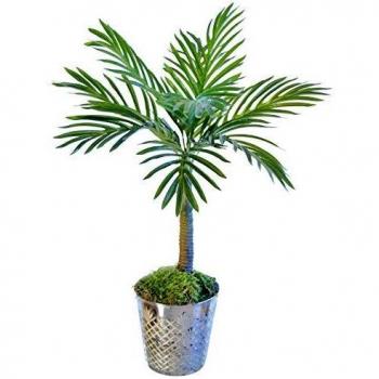 Palmera Artificial, Ideal para Decoración del Hogar u Oficina, Planta, Árbol Artificial