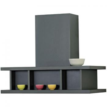 Campana extractora industrial en acero inoxidable bruñido 120 cm