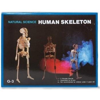 Skeleton Woodcraft