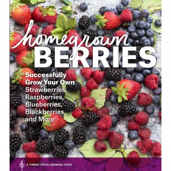 Homegrown Berries