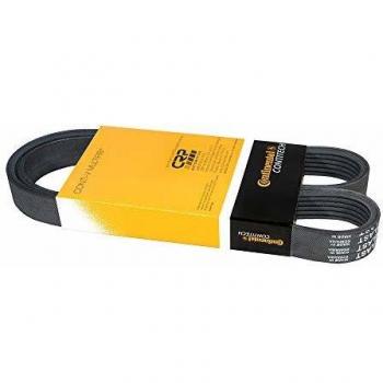 CONTITECH 7PK1125 Correa
