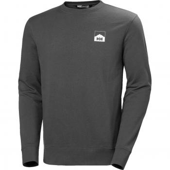 Sudadera de montaña Helly Hansen Nord Graphic Gris para hombre