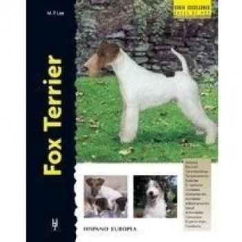 Fox Terrier