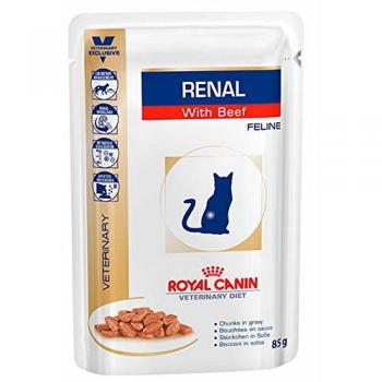 Doble pack pienso Royal Canin Renal – Veterinary Diet, vacuno