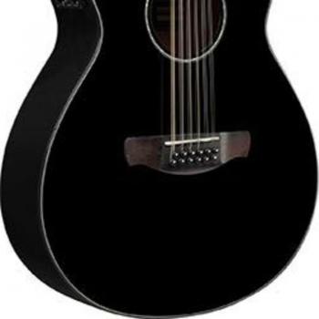 Ibanez AEG5012 BK Acoustic Electric Guitar - 12-String, Single-Cutaway, Black Finish