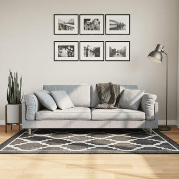Alfombra Lavable Antideslizante Blanco y Negro 120x180 cm