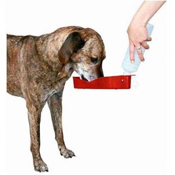 Trixie Plastic Bottle with Bowl, 250 ml