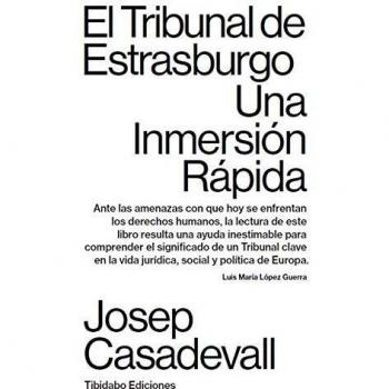 El Tribunal de Estrasburgo. Una inmersión rápida: 19