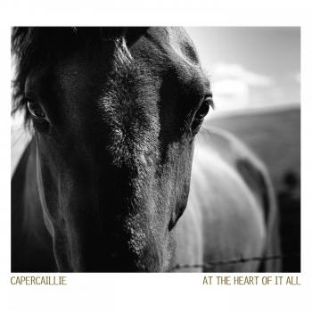 At the Heart of It All - Capercaillie -VERTCD100