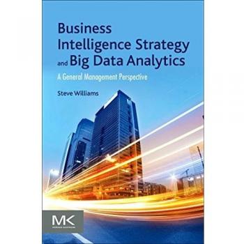 Business Intelligence Strategy and Big Data Analytics: A General Management Perspective