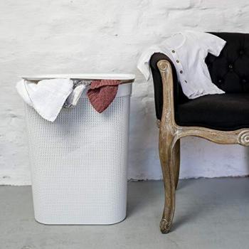 Rotho Brisen - Colector de Lavado de 50 L con Tapa y 2 Asas, Plástico
