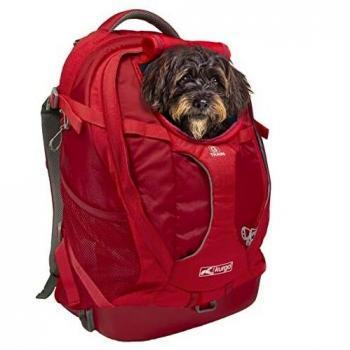 Kurgo Dog Carrier Backpack for Small Dogs and Cats, G-Train Pet Backpack Carrier, Airline Approved, Cat Backpack, Small Dog Backpack for Hiking and Travel, Waterproof Bottom, Chili Red