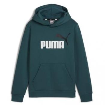 Sudadera Puma Essentials + 2 Color Big Logo para niño, color Verde, talla 11-12 años