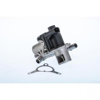 Válvula EGR WAHLER 710965R para RENAULT, CITROËN y NISSAN