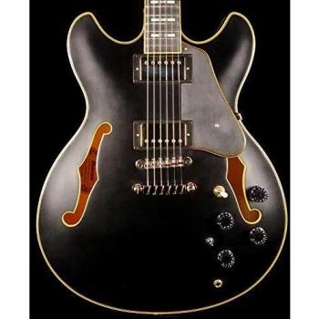 Ibanez JSM20 John Scofield Signature Electric Guitar with Case, Black Low Gloss