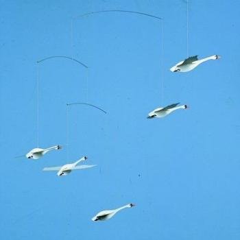 Flensted Mobile - Móvil de los cisnes del norte