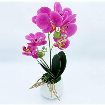 WELLHOME Planta de orquidea con Tacto Natural Color Maceta de Ceramica, Lila 42 Cm, Unitario