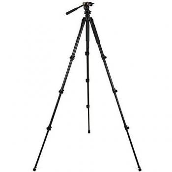 Celestron Regal Premium 4-Section Aluminum Tripod with 2-Way Pan Head - Black