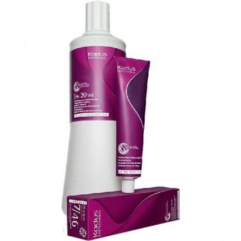Londa Professional 6% Oxidizing Emulsion for Permanent Color and Intensive Cleanser Shampoo