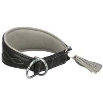 Collar Trixie Active Comfort para galgos - T/S-M: 33-42 cm de perímetro de cuello, 60 mm de ancho