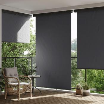 Toldo lateral de balcón negro 165x250 cm vidaXL