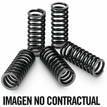 V PARTS - 18456 : Kit De Muelles De Embrague Kawasaki