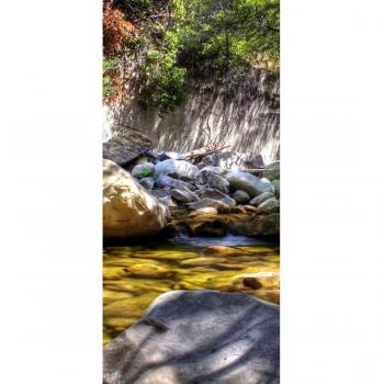 peelitstickit id-0880 60 ancho x 130 cm de altura Hermosa Naturaleza Mural de pared vinilo de alta calidad