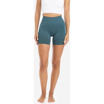 Shorts Mujer Seamless Sculpt Azul PICSIL SPORT
