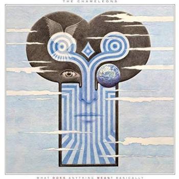 Vinilo Transparente 180g What Does Anything Mean? Basically de The Chameleons - Edición Limitada y Sello UK