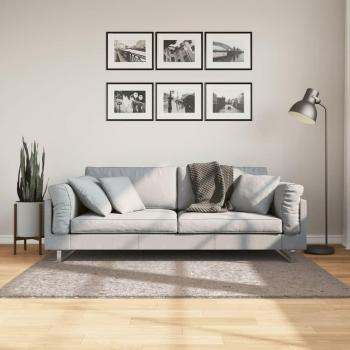 Alfombra larga moderna Shaggy PAMPLONA Beige 120x170 cm