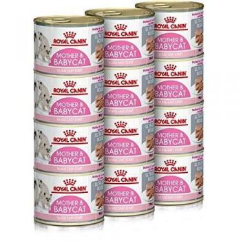 Royal Canin Feline Babycat Instinctive - 12 Unidades de 195 g, Total: 2340 g