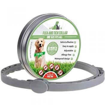 DEWEL Collar Antiparasitos para Perro,Gato Pequeño Mediano Grandes contra Pulgas, Garrapatas y Mosquitos, 8 Meses（para Perros）