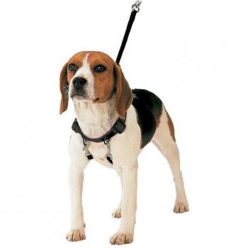 Arnés para Perro Gloria 30-42 Cm Talla M - Material: Plástico - Composición: Nylon