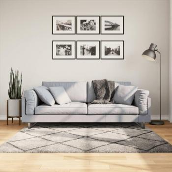 Alfombra Shaggy PAMPLONA moderna de pelo largo beige y antracita 160x160 cm