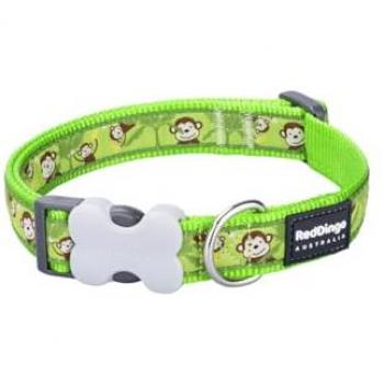 Collar para Perro Red Dingo Style Monkey Lime Green 15 mm x 24-36 cm