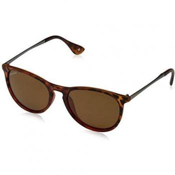 Sunoptic MP24C Montana Sunglasses Turtle/Brown
