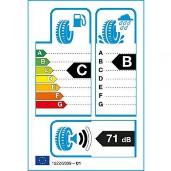 duraturn mozzo S Plus - 205/40/R17 84 W - C/B/71db - Neumáticos de verano