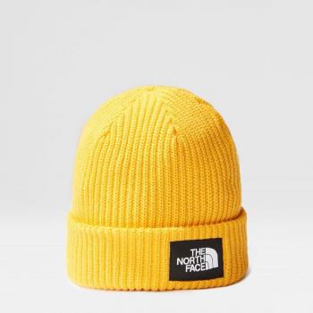 Gorro de montaña The North Face Salty Lined