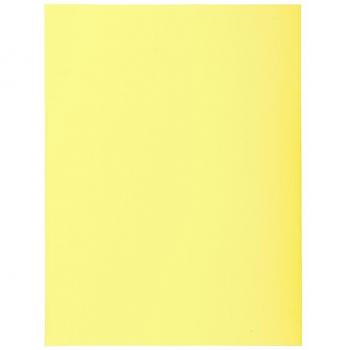 Subcarpetas Super - Exacompta 340005E - 160 g/m2 (Paquete de 5 unidades)