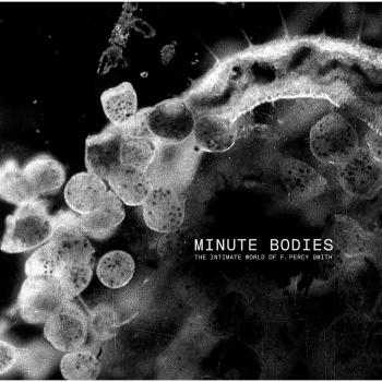 Minute Bodies [Vinilo]