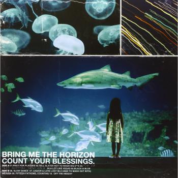 Count Your Blessings [VINYL]