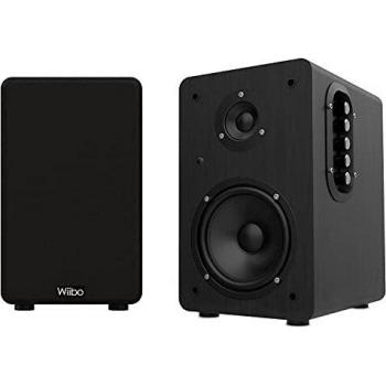 Wiibo Neo 100 - Altavoces Bluetooth Portátiles Vintage - Altavoces Inteligentes HiFi - Altavoces Estantería - Potencia 100W - 250 mm x 180 mm x 300 mm - Color Negro