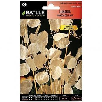 Semillas de Flores - Lunaria Moneda del Papa - Batlle
