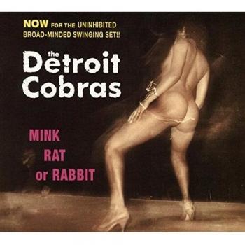 Mink, Rat Or Rabbit