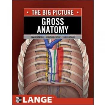 The Big Picture: Gross Anatomy by McGraw-Hill Publishing Company