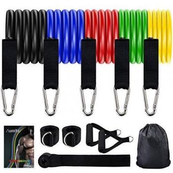 Bandas Elásticas Fitness, Set de 5 Látex Bandas de Resistencia con Manijas Ancla de Puerta Correas de Tobillo Bolsa de Transporte