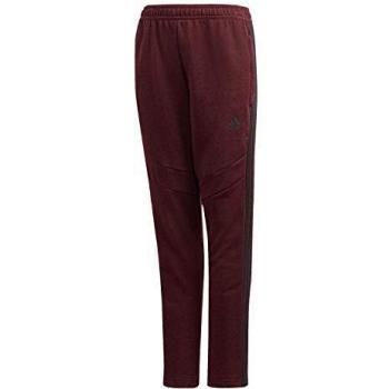 adidas Tiro 19 Cotton Pant Pantalones, Niños, Collegiate Burgundy Melange/Black, 116