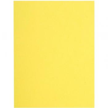 Subcarpetas de papel Flash - Exacompta 150005E - 80 g/m2 (Canario)