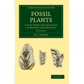 Conjunto de 4 Volúmenes de Plantas Fósiles: Texto para Estudiantes de Botánica y Geología - Volumen 3 (Colección Biblioteca Cambridge - Ciencia de la Tierra)