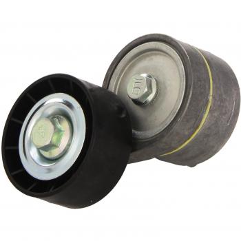 Dayco APV1000